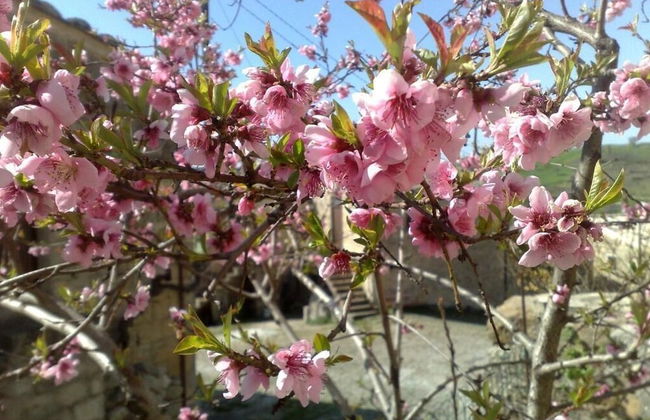 Locanda di Cadì - Foto 52