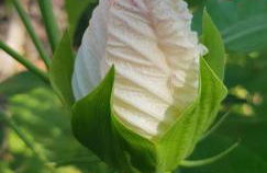 Villa Lidia - Foto 6