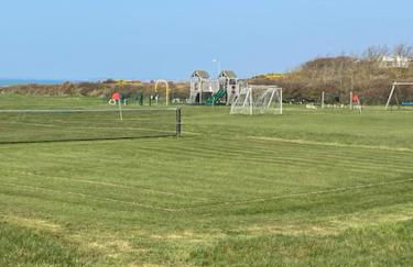 Brambles chine - Photo 12