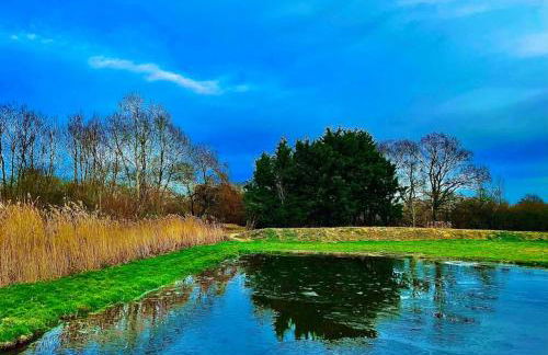 Reeds retreat - Foto 12