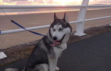 Driftmark Beachfront location Aberavon Beach Sea Views Large Driveway parking private site fibre optic wi fi - Photo 20