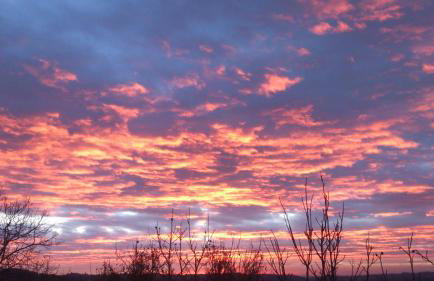 Elizabeta Holiday Home - Foto 56