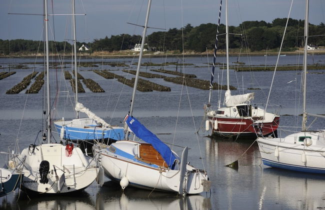 Ty an Diaoul - Vacances ULVF - Foto 13