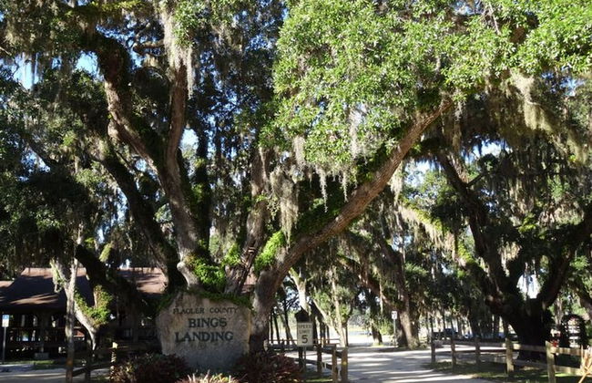 Ocean Front Flagler Beach Sleeps 5 People - Foto 56