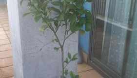 ÁTICO 2 terrazas LEMASALUD - Foto 5