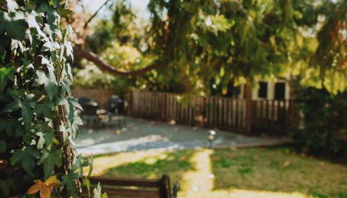 Yosemite Cottage Retreat- Half Block to Downtown - Foto 2