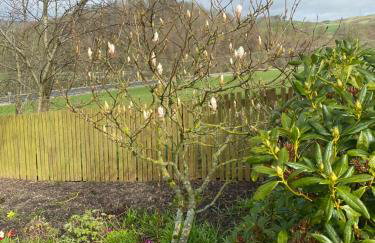Martinshouse Holiday Cottage, Hawick, Borders - Photo 6