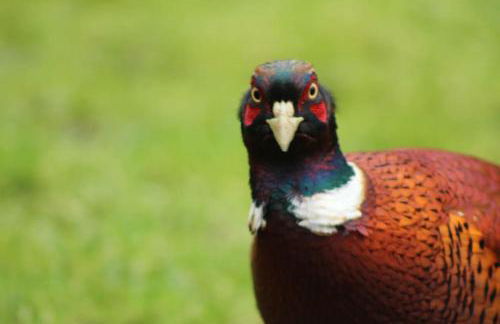 The Hive - beautiful studio with amazing hot tub - Foto 19