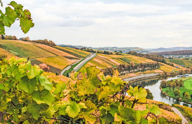 Greiweldenger Leit As - Foto 11