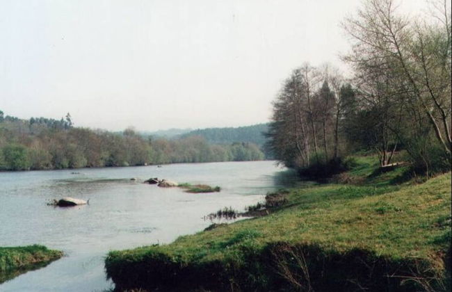 Holiday Home in Ponte de Lima With Pool - Foto 21