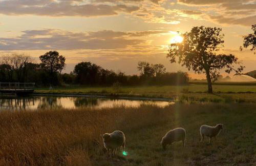 Appartements détente & nature - Domaine de La Thiau - Photo 92