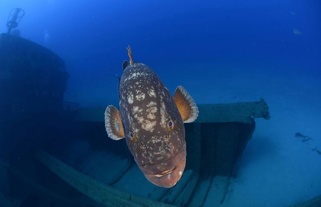 Vilas Espirito Santo - Foto 14