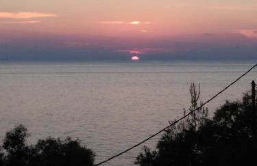 Studio Kalogridis - Foto 25