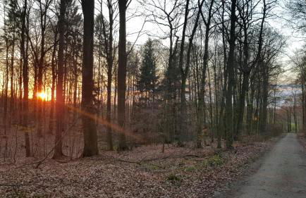 MOIN, MOIN & AHOI! - Foto 51