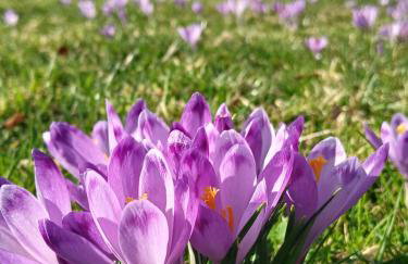 Tatra West Farm - Foto 40