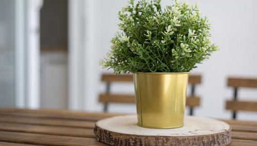 La Lajita Barca Beach Sea - Foto 3