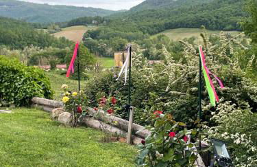 Incantevole Mugello - Foto 78