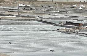 Casa da Palmeira - Foto 30