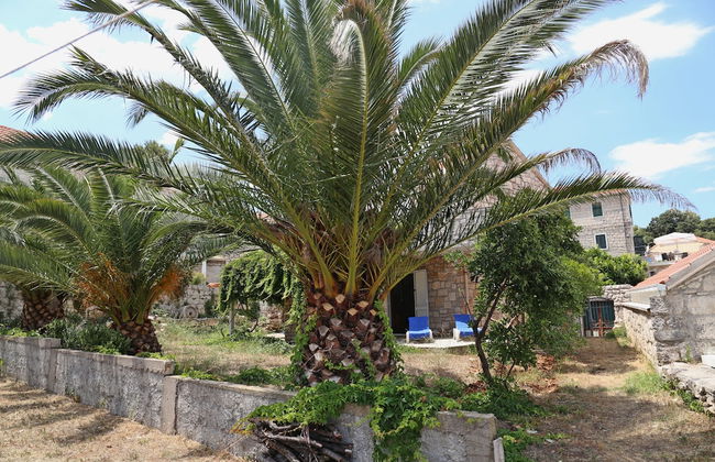 Beach Villa Olivia - Foto 18