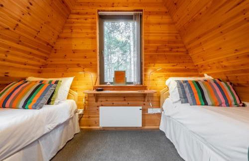 Woodpecker - Photo 36