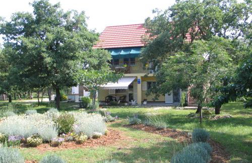 Apartment Kovacic Jurlina - Foto 1