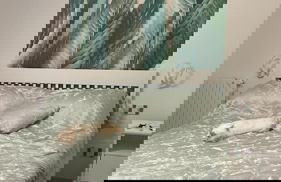 Villa Asia - Foto 11