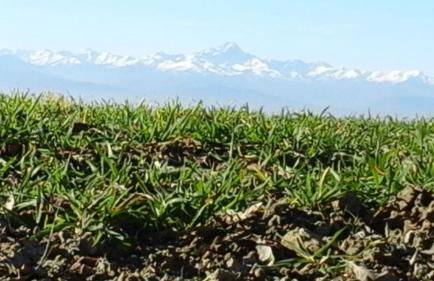 Cascina Linét - Foto 11