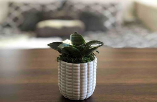 Casita de ForestTiny home in Templeton, CA - Foto 21