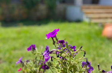 Seaside Modern House Katakolo - Photo 33