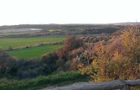 Masseria Strada Agriturismo - Foto 10