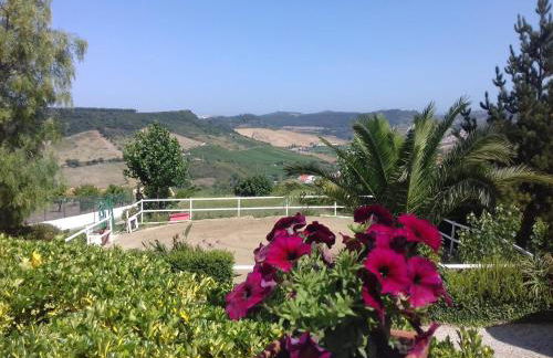 Casinha de campo- Quintinha dos Cavalos- Arruda dos Vinhos - Foto 30