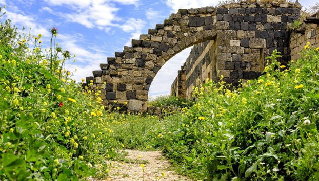 Um Qais and Pella - Full-Day Tour - Photo 3