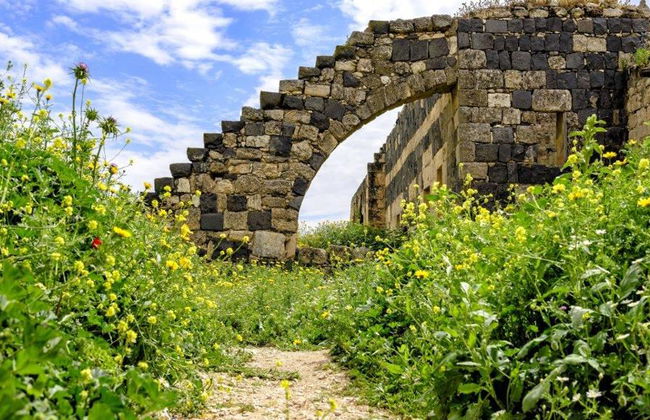 Um Qais and Pella - Full-Day Tour - Photo 3