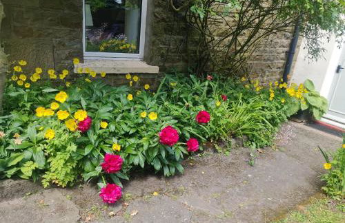 Mayfield Cottage - Foto 10