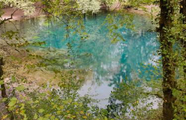 apartment, gite by the canal l Est,river Coney vosges france - Foto 33