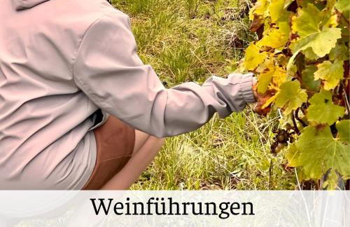 Ferienhaus Waldblick Heimbuchenthal - mit Kamin, Wintergarten und Terrasse - Foto 32