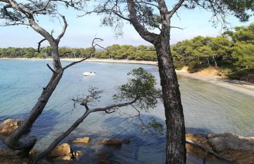 Les jardins du Luxembourg - Foto 14