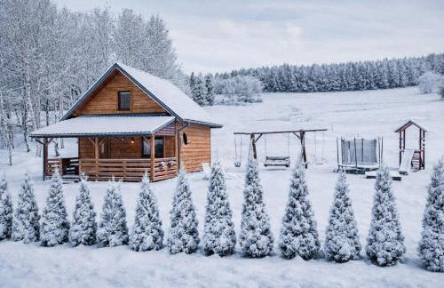 Bieszczady Żubrowe Wzgórze 785-049-543 - Foto 78