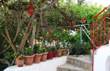 Anna Studios - Foto 49