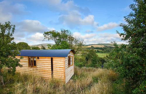 Woodpecker Hill - Apple Orchard in Alfriston - Foto 4