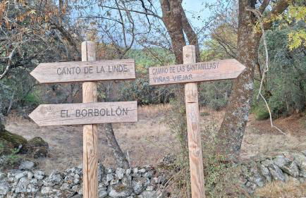 El Zaguan - Photo 37