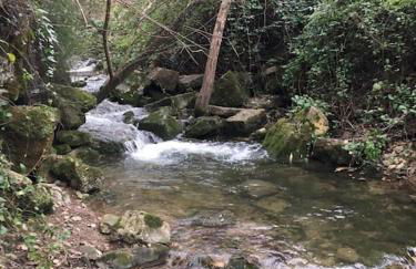 Casinha da Lareira - Quintinha dos Cavalos- Arruda dos Vinhos - Foto 46