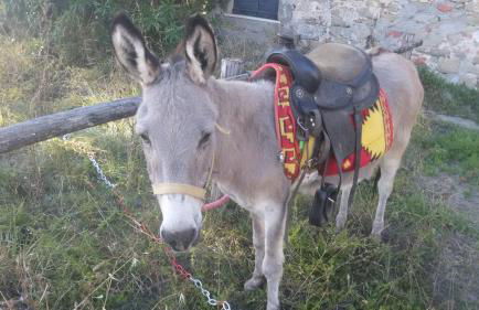 Casa Teresina - Foto 33