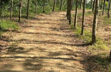 Casa do Carvalhal - Quinta do Soldado - Foto 36