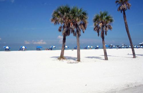 Mini-Golf 2-1 with Heated pool - Foto 7