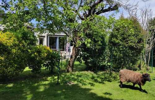 Maison Plein Sud St Lunaire Bretagne - Foto 2