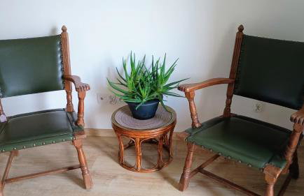 Apartament Kwiatowy klimatyzowany - Foto 10