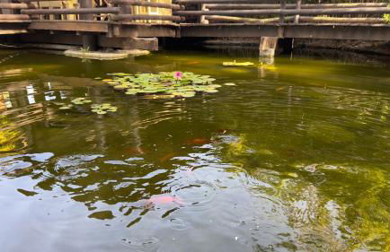 VILLA BELLAVISTA - Foto 40