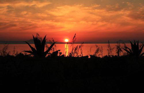 Alkionis Beach Hotel Apartments - Photo 20