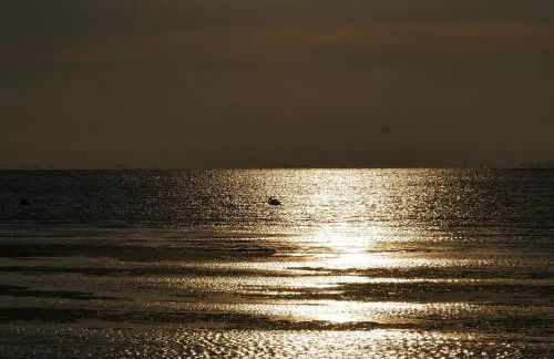 La Petite Maison - Foto 31